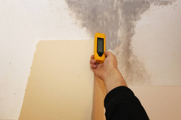 Best Forensic Mold Investigation  in Winter Springs, FL